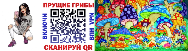 Галлюциногенные грибы Cubensis  Купить  Советск 